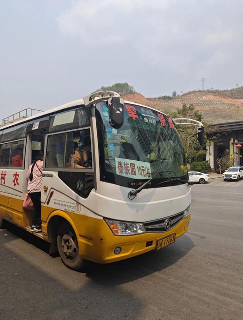 西双版纳旅游客运：带你穿越热带雨林