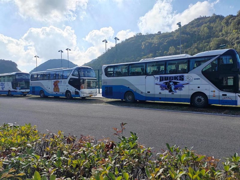 旅游大巴租赁市场的最新动态